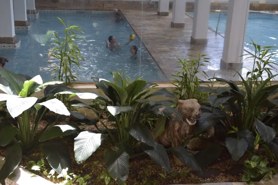 Hotel Fazenda Fonte Colina Verde — foto 3